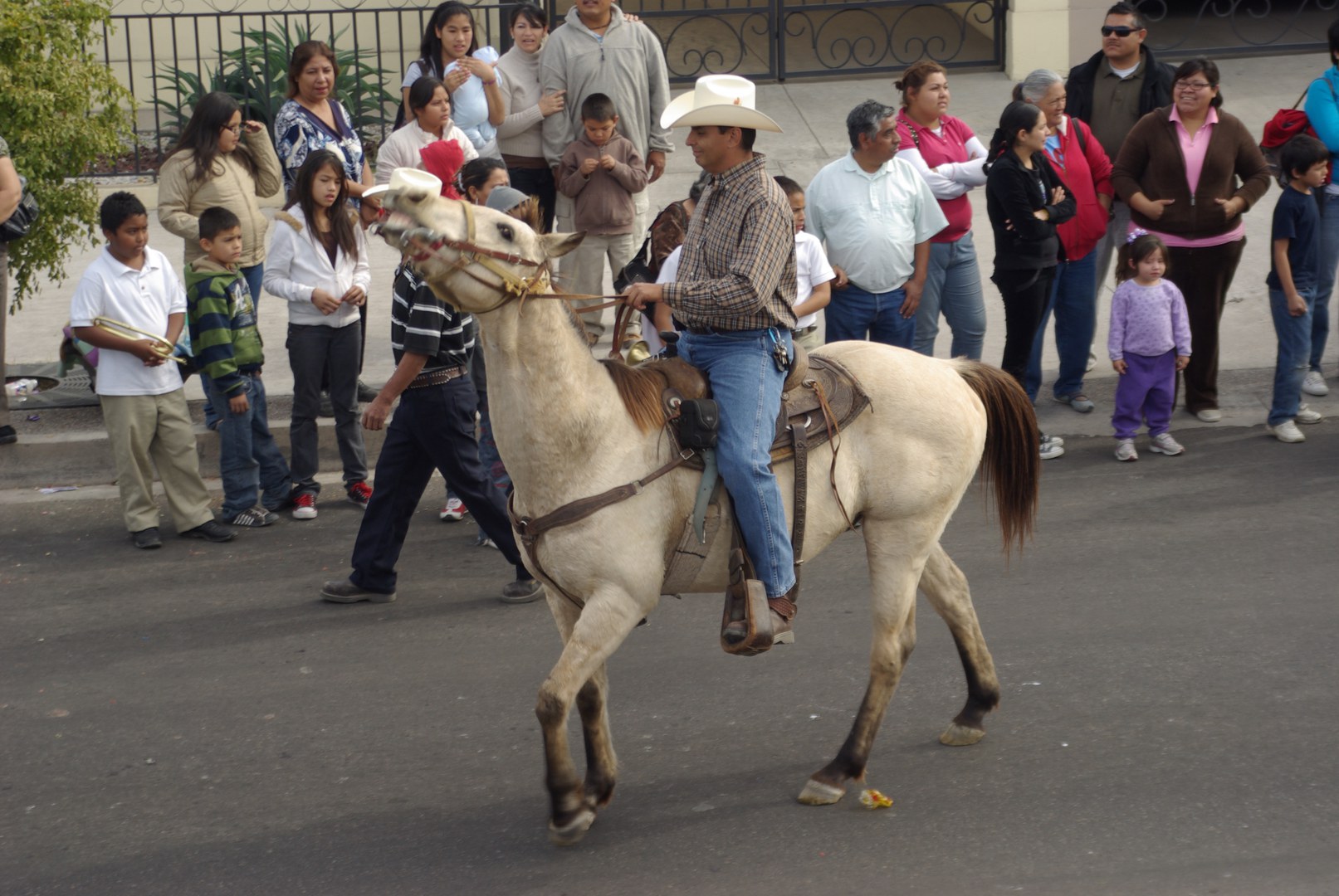 Foto Sonora